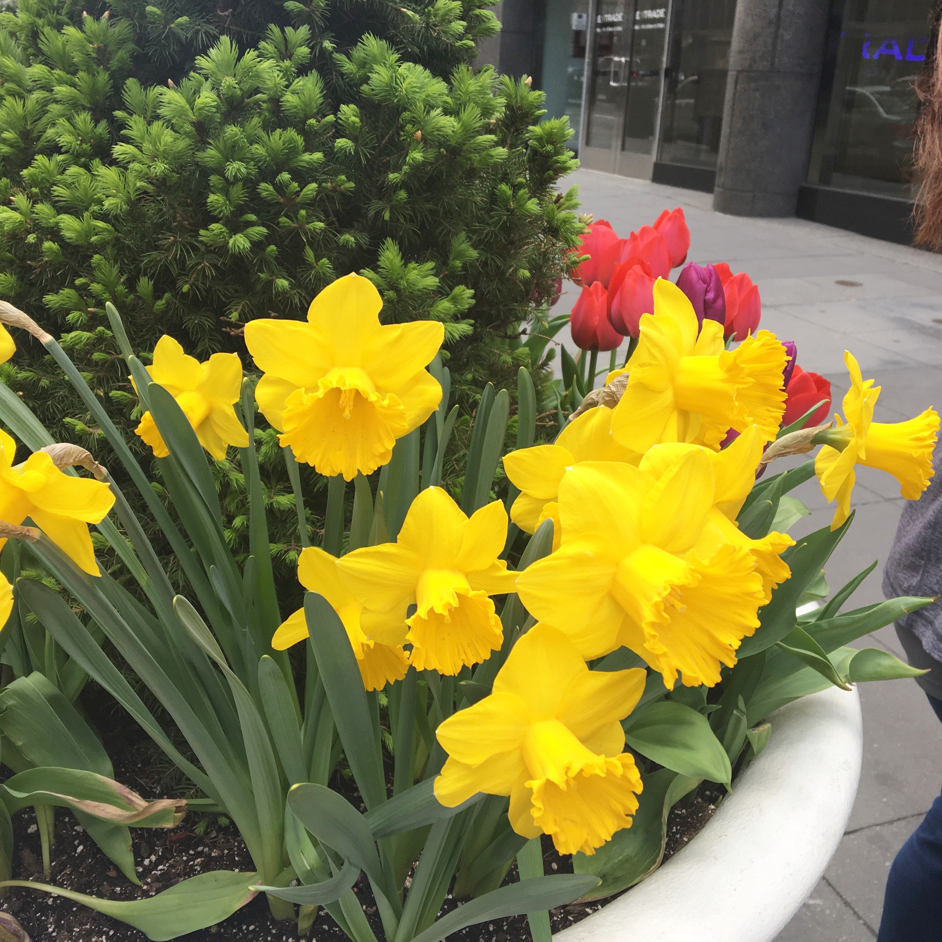 United Nations Headquarters, New York City